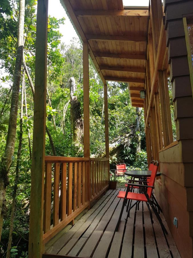 Finca Terra Viva モンテベルデ エクステリア 写真