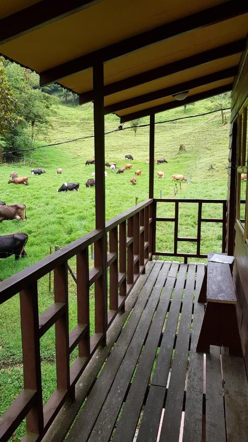 Finca Terra Viva モンテベルデ エクステリア 写真