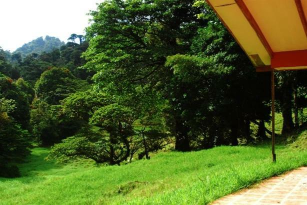 Finca Terra Viva モンテベルデ エクステリア 写真